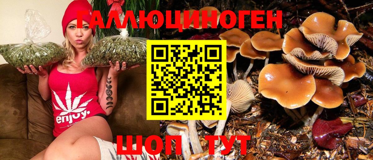 Галлюциногенные грибы MAGIC MUSHROOMS  Вход с VPN  Зеленодольск 